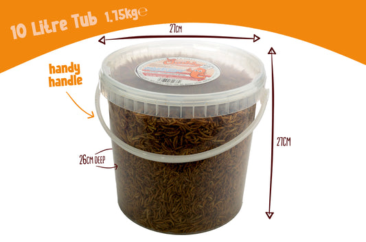 10 Litres Chubby Dried Mealworms (approx 1.85kg)