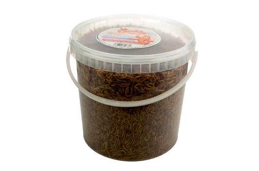 10 Litres Chubby Dried Mealworms (approx 1.85kg)