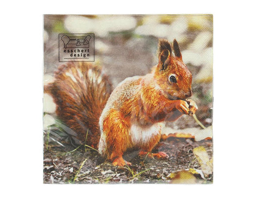 Fallen Fruits FSC Paper Napkins - Robin & Squirrels