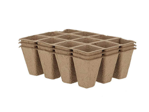 Fallen Fruits Biodegradable Fibre Grow Pot Tray Set of 3