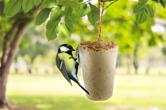 Hanging Suet Log Topped with Mealworms 300g