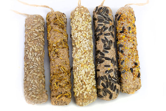 Chubby Medium Variety Pack of Suet Sticks - 5 Flavours