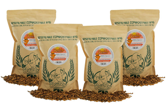 4Kg EU Grown Chubby Dried Mealworms