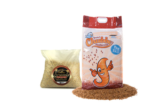 Chubby Won't Grow & Mealworm Combo (5Kg of Each)