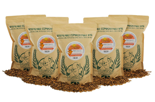 5Kg EU Grown Chubby Dried Mealworms