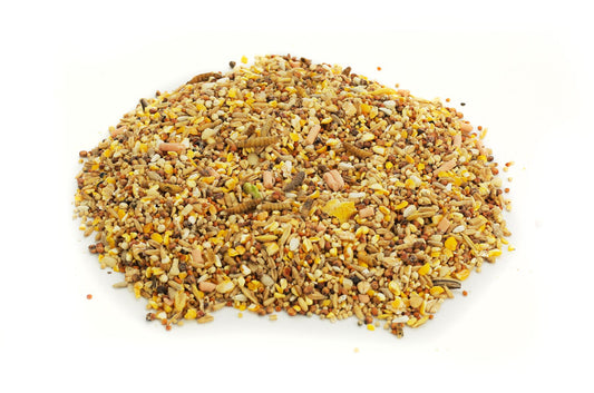 Chubby Robin & Songbird Wild Bird Seed Mix 25.2Kg