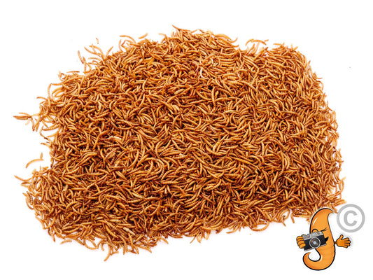 25.1Kg Dried Chubby Mealworms - 2 Bulk Bags