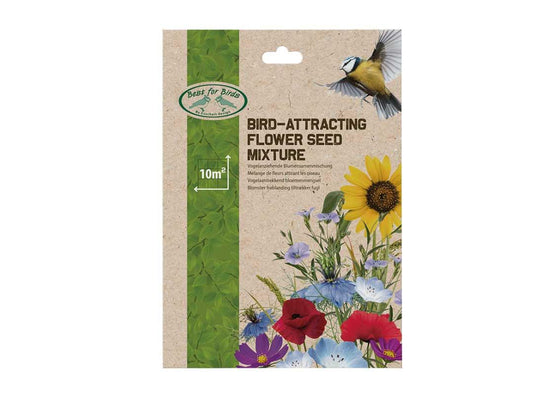 Fallen Fruits Seeds For Flowers That Attract Birds