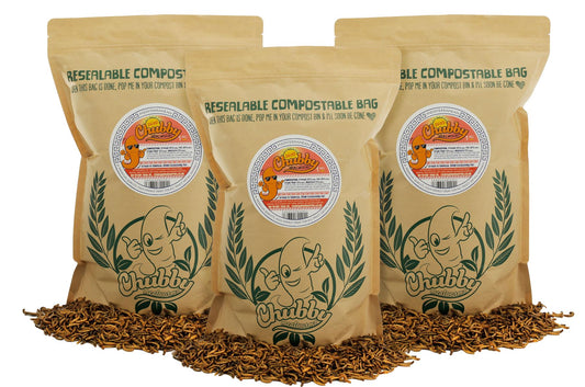 3Kg EU Grown Chubby Dried Mealworms