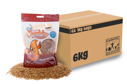 6Kg Dried Chubby Mealworms