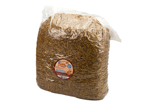 12.55Kg Bulk Bag Dried Mealworms