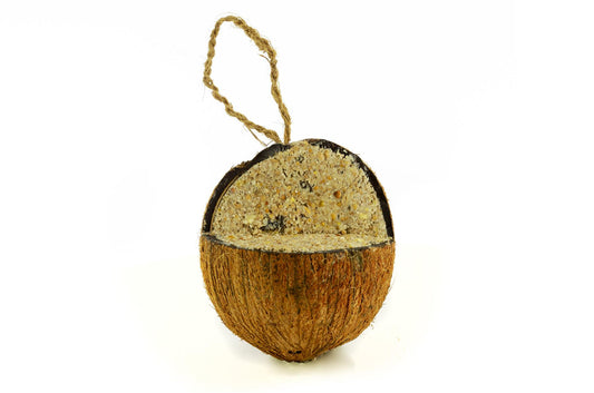 Chubby Wild Bird Food Quarter Cut  Whole Filled Coconut