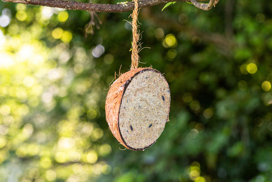 Chubby Half Filled Coconut - Original