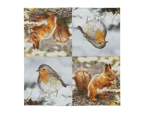 Fallen Fruits FSC Paper Napkins - Robin & Squirrels