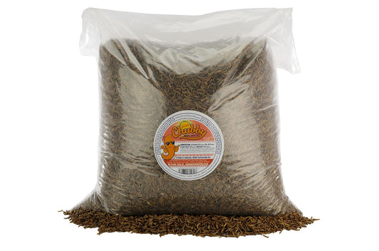 12.6Kg EU Grown Chubby Dried Mealworms