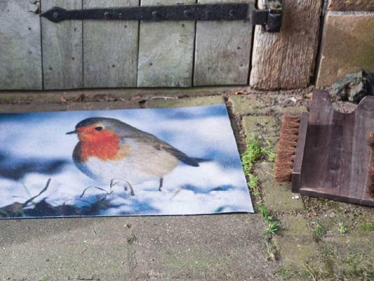 Fallen Fruits Robin Printed Doormat