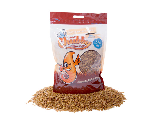 1Kg Dried Chubby Mealworms