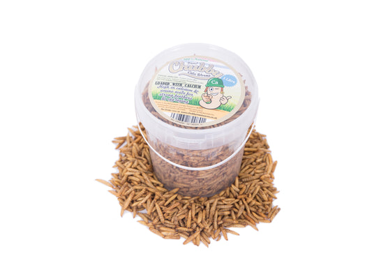 1 Litre Chubby Dried Black Soldier Fly Larvae Tasty Hedgehog Treats