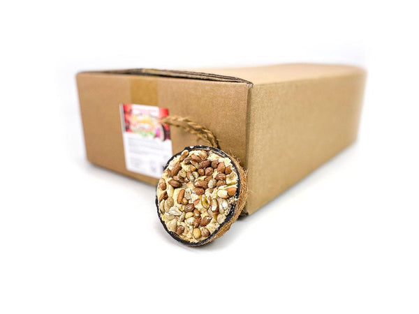 Box of 30 - Chubby Half Filled Coconuts - Peanut Topped