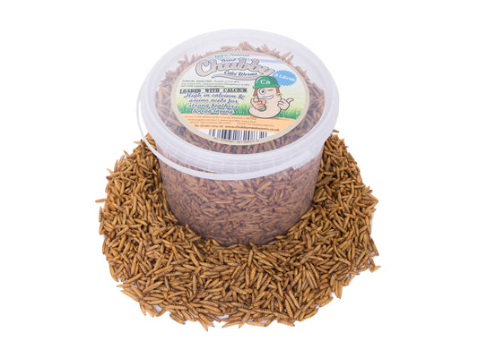 3 Litre Chubby Dried Black Soldier Fly Larvae Tasty Hedgehog Treats