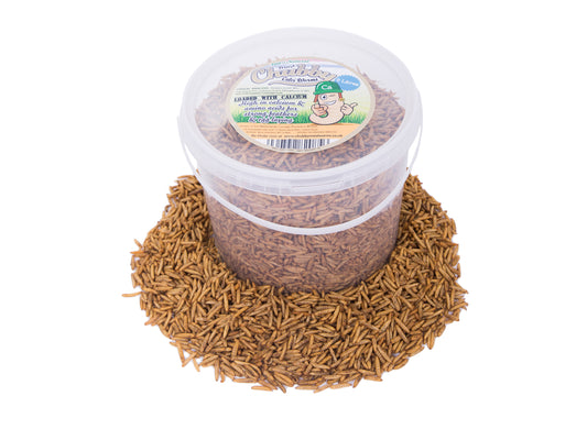 5 Litre Chubby Dried Black Soldier Fly Larvae Tasty Hedgehog Treats