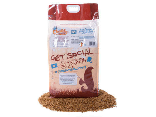 63Kg Dried Chubby Mealworms