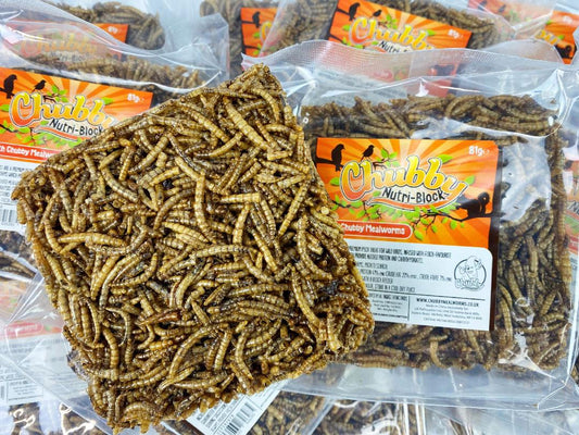 Chubby Nutri-Block Mealworm Cake  - Pack of 12